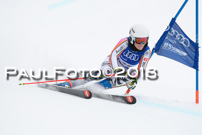 FIS Riesenslalom, Damen + Herren, Oberjoch, 15.02.2018