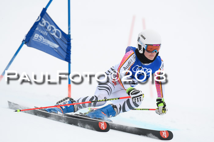 FIS Riesenslalom, Damen + Herren, Oberjoch, 15.02.2018