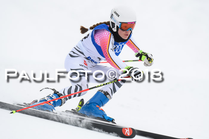 FIS Riesenslalom, Damen + Herren, Oberjoch, 15.02.2018
