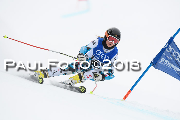 FIS Riesenslalom, Damen + Herren, Oberjoch, 15.02.2018