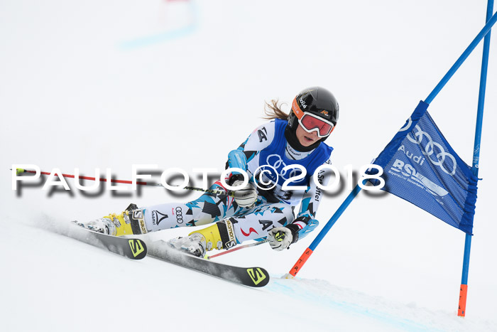 FIS Riesenslalom, Damen + Herren, Oberjoch, 15.02.2018