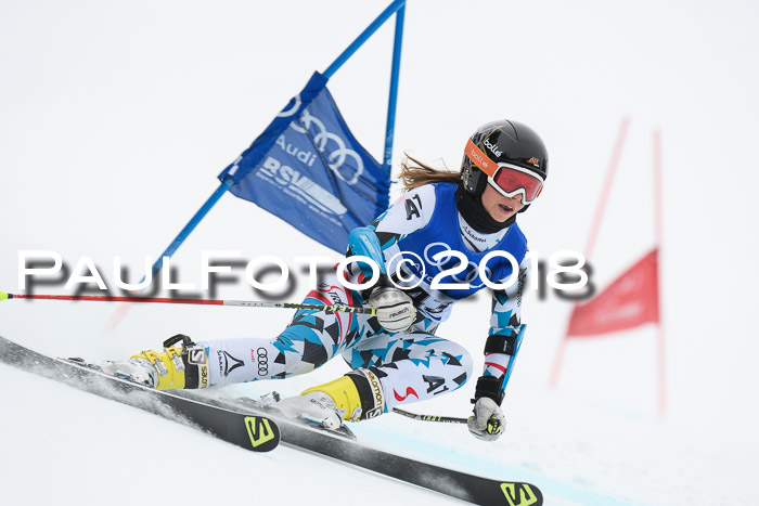 FIS Riesenslalom, Damen + Herren, Oberjoch, 15.02.2018