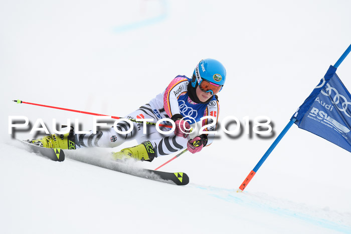 FIS Riesenslalom, Damen + Herren, Oberjoch, 15.02.2018