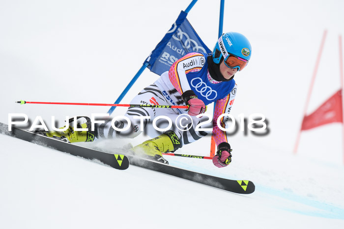 FIS Riesenslalom, Damen + Herren, Oberjoch, 15.02.2018