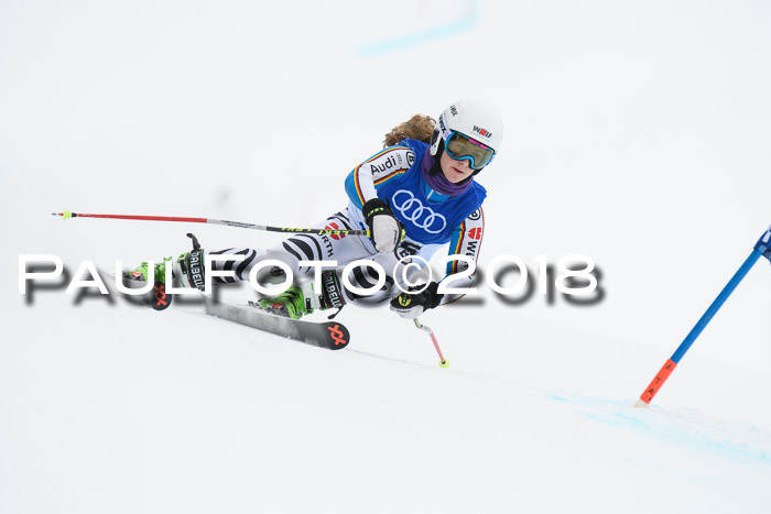 FIS Riesenslalom, Damen + Herren, Oberjoch, 15.02.2018