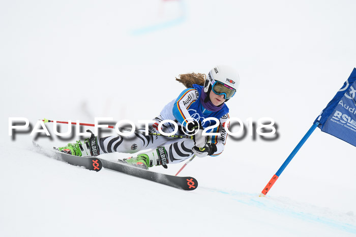 FIS Riesenslalom, Damen + Herren, Oberjoch, 15.02.2018