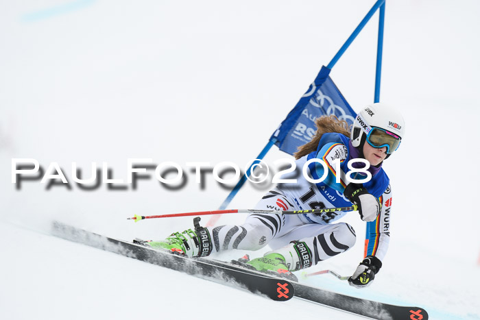 FIS Riesenslalom, Damen + Herren, Oberjoch, 15.02.2018