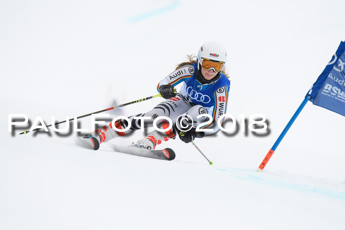 FIS Riesenslalom, Damen + Herren, Oberjoch, 15.02.2018