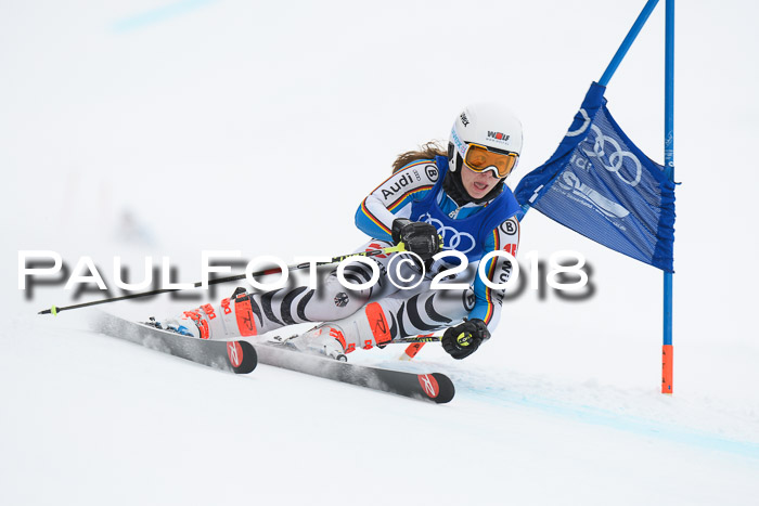 FIS Riesenslalom, Damen + Herren, Oberjoch, 15.02.2018