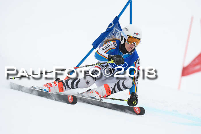 FIS Riesenslalom, Damen + Herren, Oberjoch, 15.02.2018