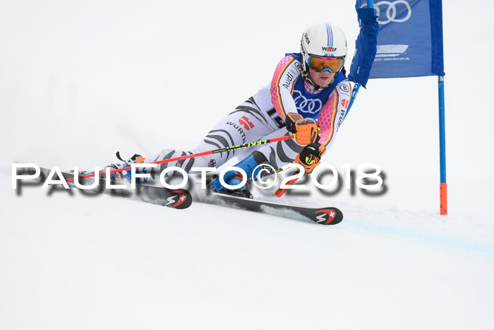 FIS Riesenslalom, Damen + Herren, Oberjoch, 15.02.2018