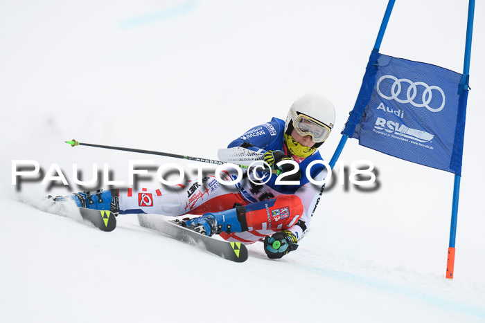 FIS Riesenslalom, Damen + Herren, Oberjoch, 15.02.2018