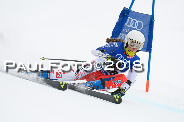 FIS Riesenslalom, Damen + Herren, Oberjoch, 15.02.2018