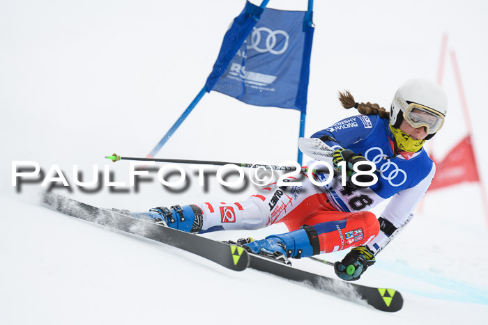 FIS Riesenslalom, Damen + Herren, Oberjoch, 15.02.2018