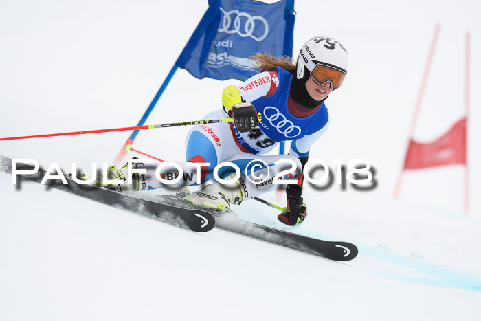 FIS Riesenslalom, Damen + Herren, Oberjoch, 15.02.2018