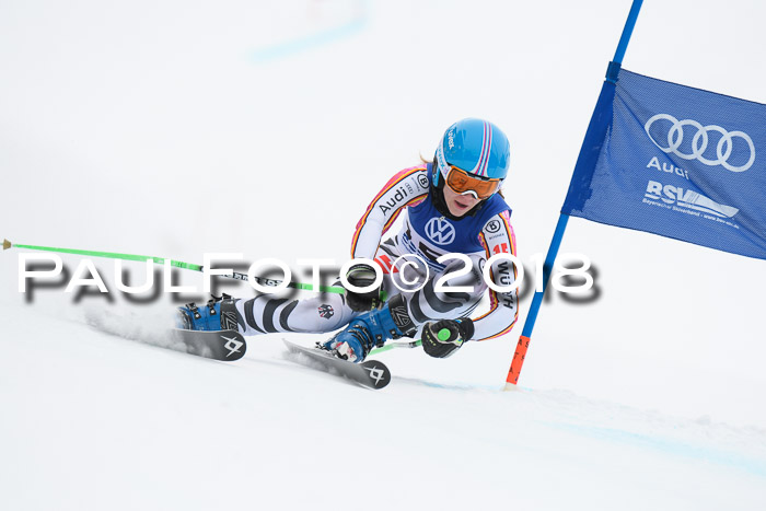 FIS Riesenslalom, Damen + Herren, Oberjoch, 15.02.2018