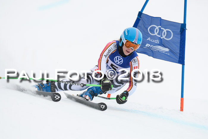 FIS Riesenslalom, Damen + Herren, Oberjoch, 15.02.2018