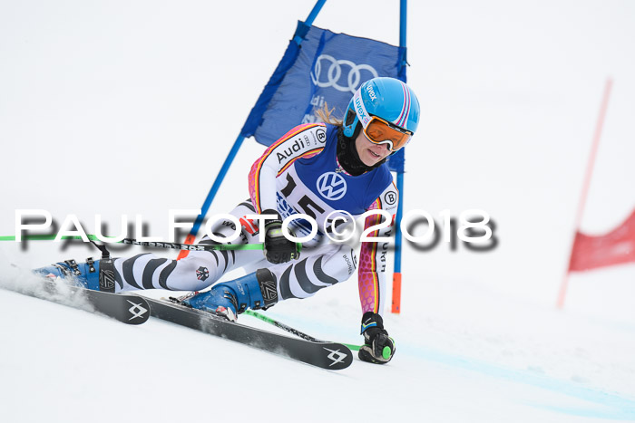 FIS Riesenslalom, Damen + Herren, Oberjoch, 15.02.2018