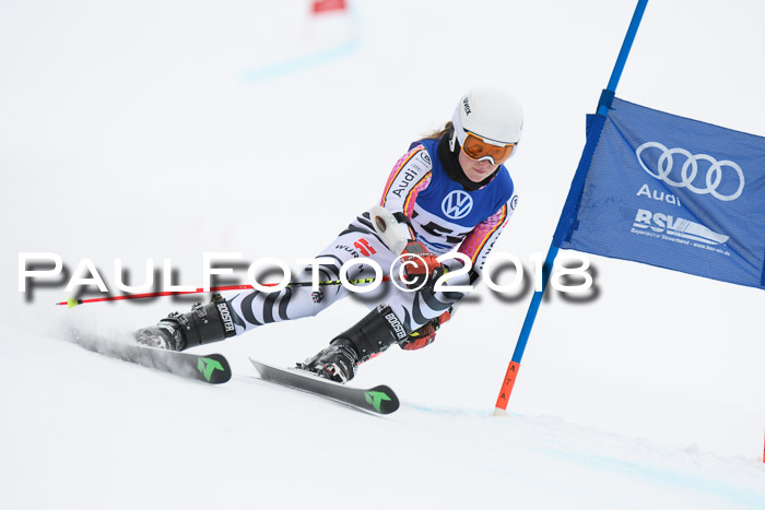 FIS Riesenslalom, Damen + Herren, Oberjoch, 15.02.2018