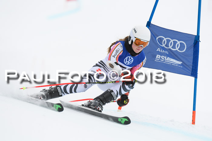 FIS Riesenslalom, Damen + Herren, Oberjoch, 15.02.2018