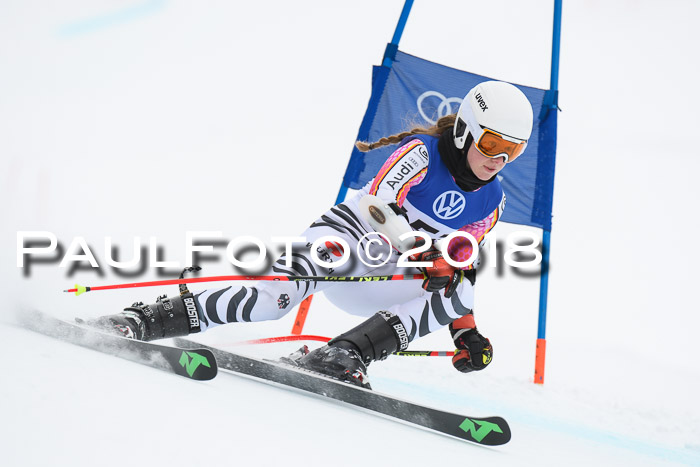FIS Riesenslalom, Damen + Herren, Oberjoch, 15.02.2018