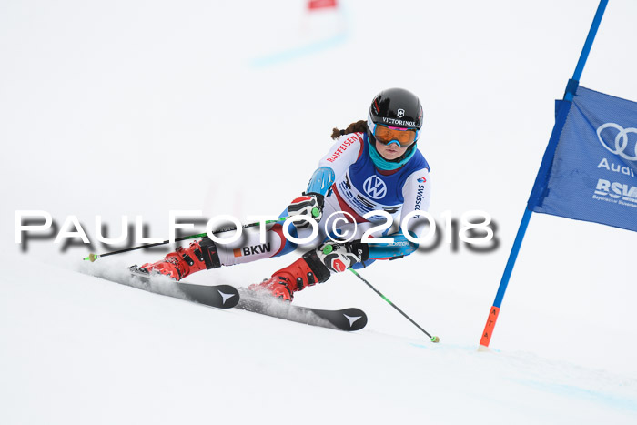 FIS Riesenslalom, Damen + Herren, Oberjoch, 15.02.2018