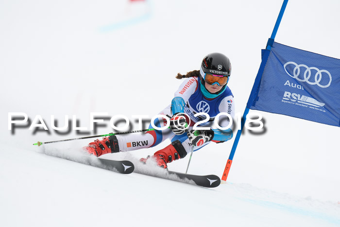 FIS Riesenslalom, Damen + Herren, Oberjoch, 15.02.2018