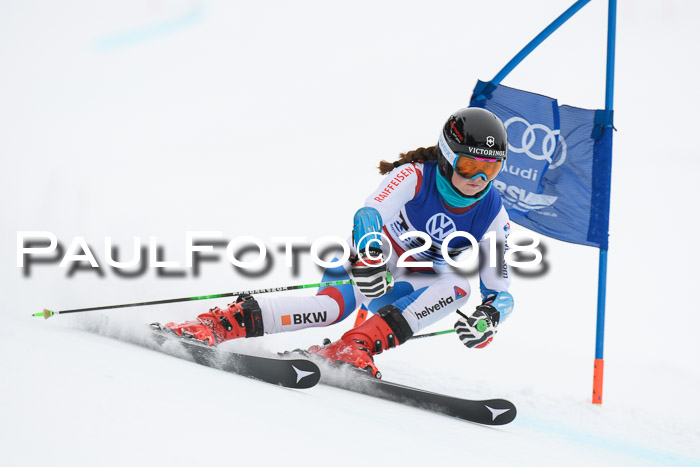 FIS Riesenslalom, Damen + Herren, Oberjoch, 15.02.2018