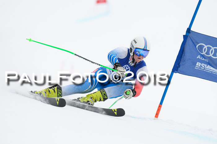 FIS Riesenslalom, Damen + Herren, Oberjoch, 15.02.2018