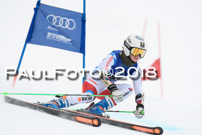 FIS Riesenslalom, Damen + Herren, Oberjoch, 15.02.2018