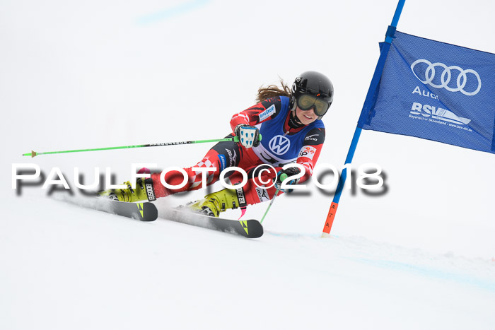 FIS Riesenslalom, Damen + Herren, Oberjoch, 15.02.2018