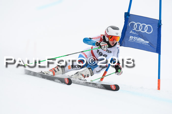 FIS Riesenslalom, Damen + Herren, Oberjoch, 15.02.2018