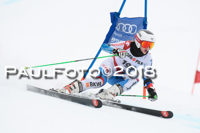 FIS Riesenslalom, Damen + Herren, Oberjoch, 15.02.2018