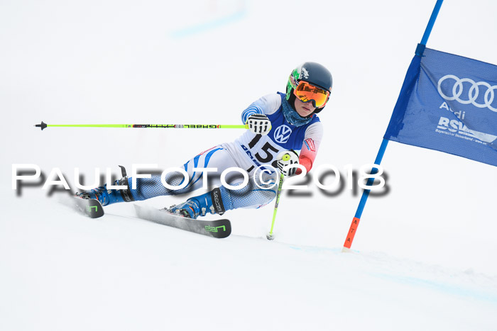 FIS Riesenslalom, Damen + Herren, Oberjoch, 15.02.2018