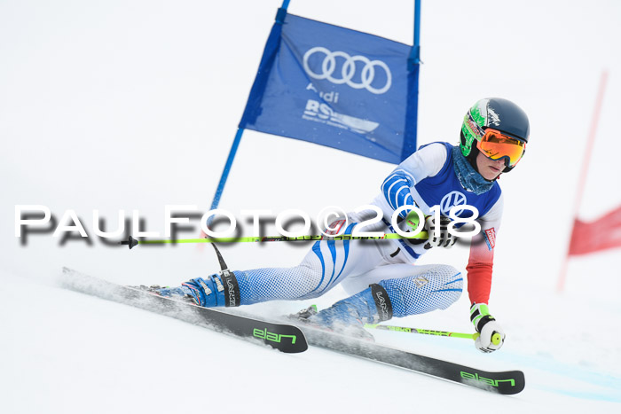 FIS Riesenslalom, Damen + Herren, Oberjoch, 15.02.2018