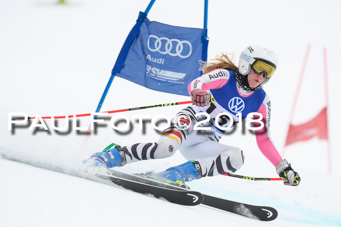 FIS Riesenslalom, Damen + Herren, Oberjoch, 15.02.2018