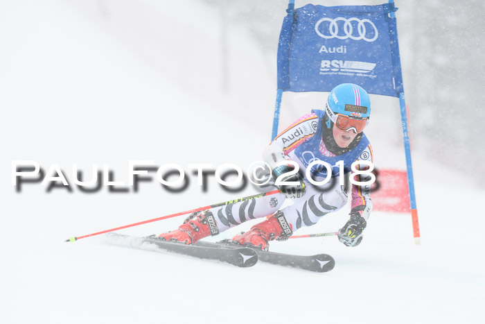FIS Riesenslalom, Damen + Herren, Oberjoch, 15.02.2018