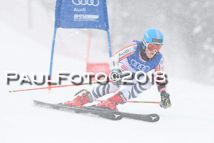 FIS Riesenslalom, Damen + Herren, Oberjoch, 15.02.2018
