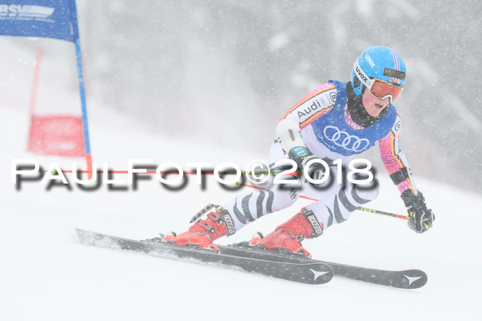 FIS Riesenslalom, Damen + Herren, Oberjoch, 15.02.2018
