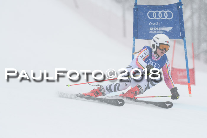 FIS Riesenslalom, Damen + Herren, Oberjoch, 15.02.2018