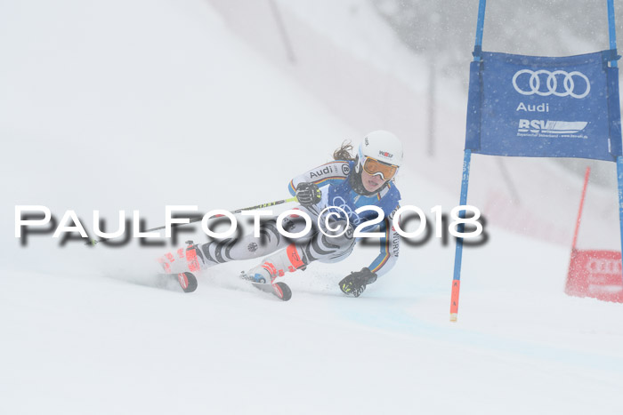FIS Riesenslalom, Damen + Herren, Oberjoch, 15.02.2018