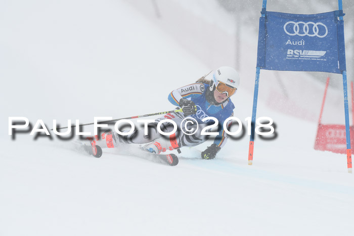 FIS Riesenslalom, Damen + Herren, Oberjoch, 15.02.2018