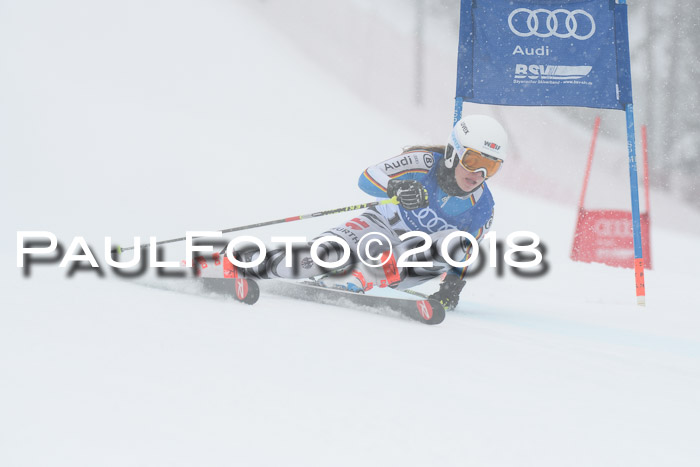 FIS Riesenslalom, Damen + Herren, Oberjoch, 15.02.2018