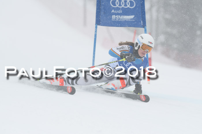 FIS Riesenslalom, Damen + Herren, Oberjoch, 15.02.2018