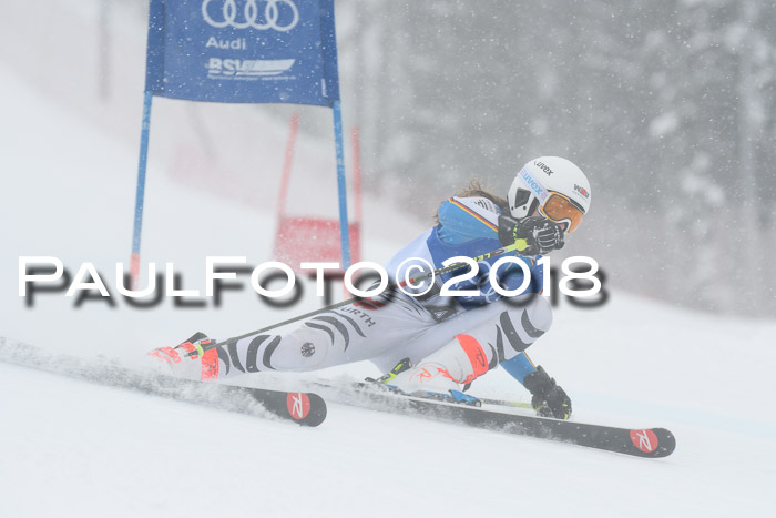 FIS Riesenslalom, Damen + Herren, Oberjoch, 15.02.2018