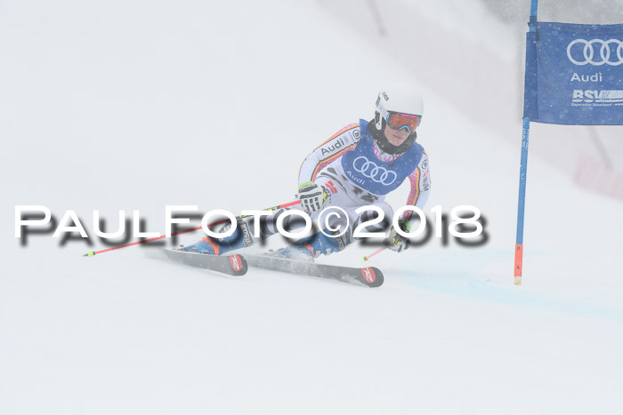FIS Riesenslalom, Damen + Herren, Oberjoch, 15.02.2018