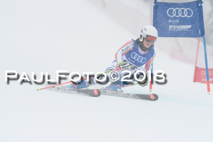 FIS Riesenslalom, Damen + Herren, Oberjoch, 15.02.2018