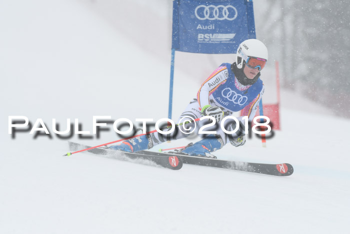 FIS Riesenslalom, Damen + Herren, Oberjoch, 15.02.2018
