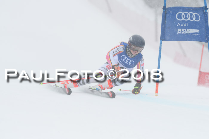 FIS Riesenslalom, Damen + Herren, Oberjoch, 15.02.2018