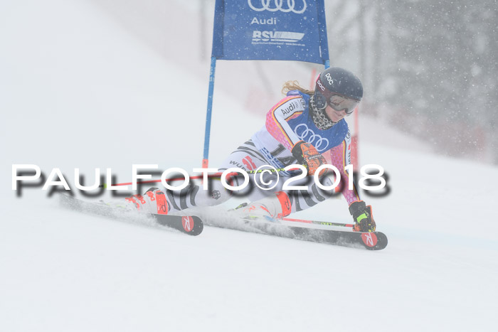 FIS Riesenslalom, Damen + Herren, Oberjoch, 15.02.2018